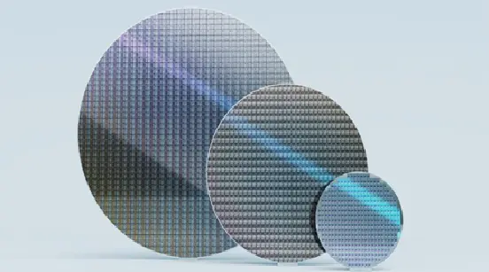 Wafer Fixing